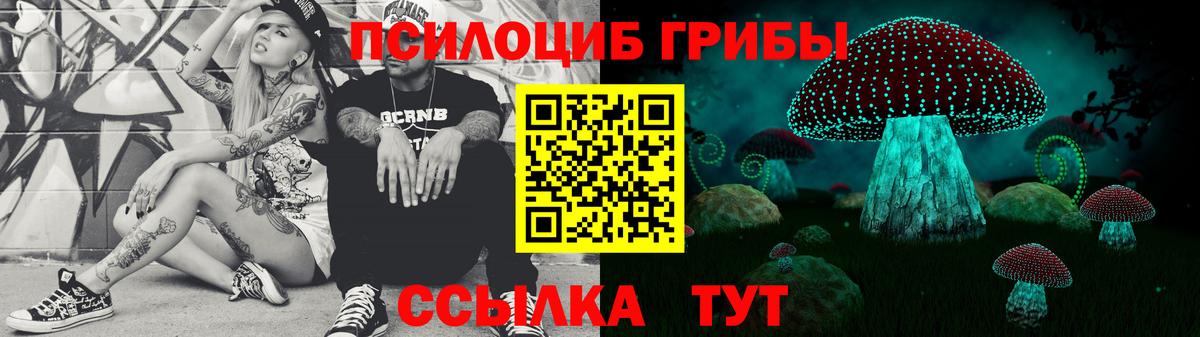 Выборг  Галлюциногенные грибы GOLDEN TEACHER  Вход с VPN 