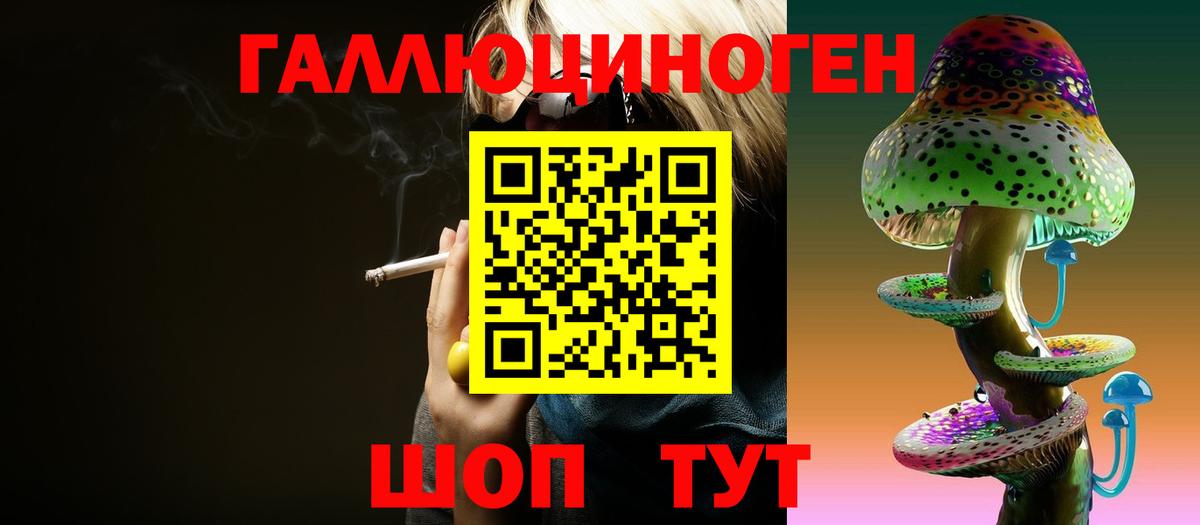 Псилоцибиновые грибы Psilocybine cubensis Выборг